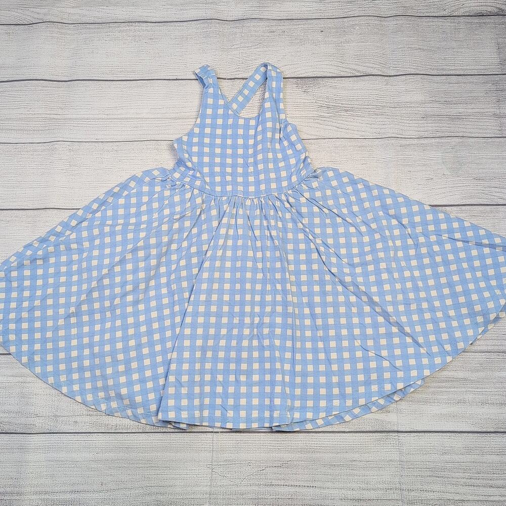 5 Alice + Ames Blue Checkered Dress
